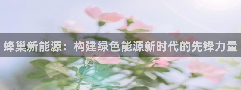 新宝彩票gg：蜂巢新能源：构建绿色能源新
