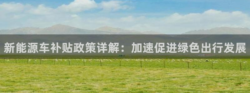 新宝创造Gg：新能源车补贴政策详解：加速