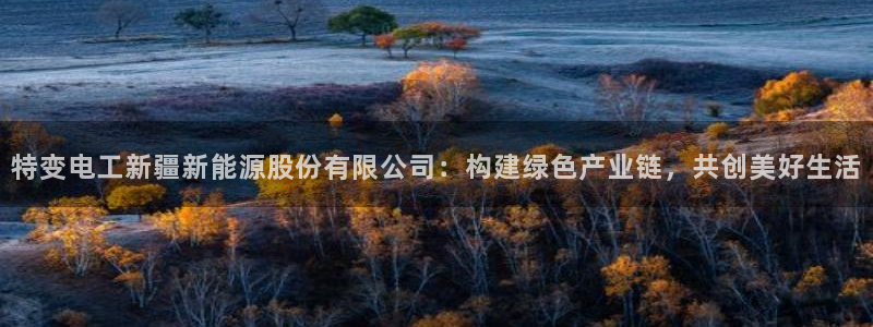 新宝gg 登陆：特变电工新疆新能源股份有