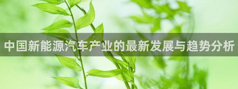 新宝gg   创造：中国新能源汽车产业的