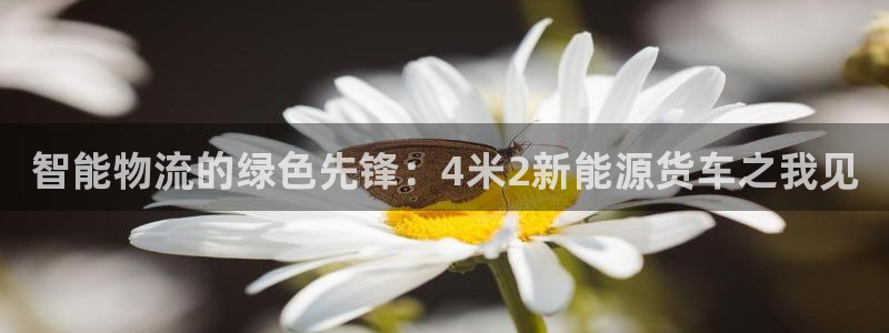 11新宝gg