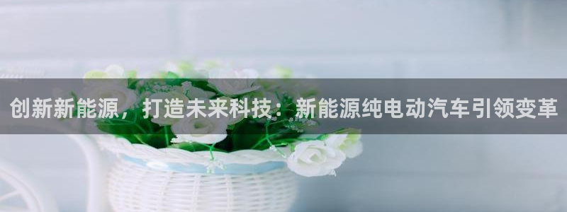 新宝gg提点
