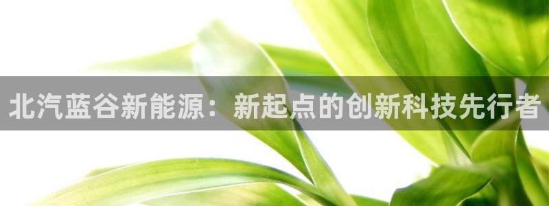 新宝gg主管、：北汽蓝谷新能源：新起点的