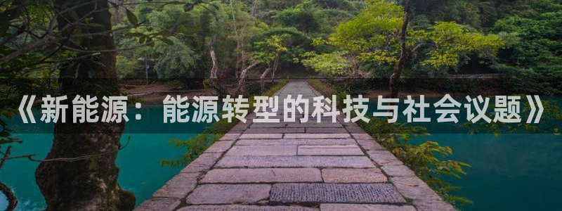 新宝gg类似:《新能源:能源转型的科技与社会议题》