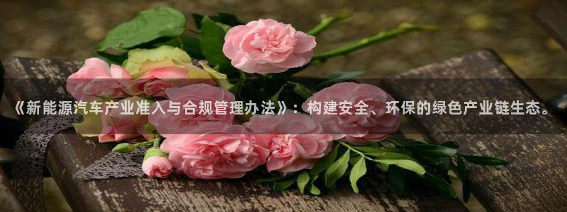 新宝gg官网登录找代理:《新能源汽车产业准入与合规管理办法》