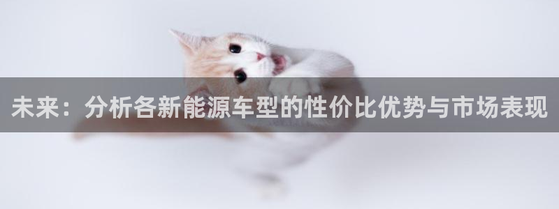 新宝gg在哪开户