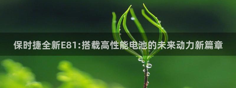 新宝gg游戏登录:保时捷全新E81:搭载高性能电池的未来动力
