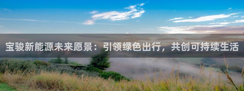 新宝gg指定平台