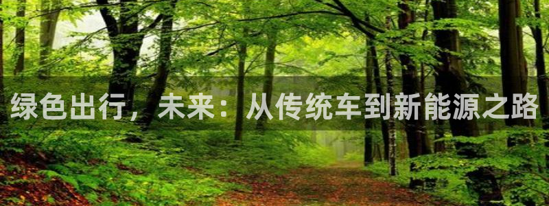新宝gg平台开户:绿色出行,未来:从传统车到新能源之路